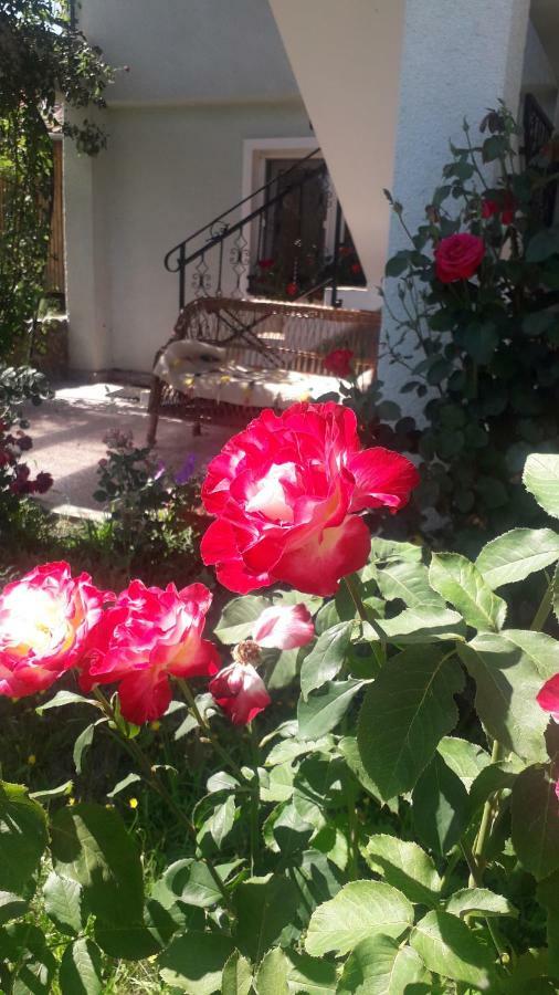 Casa Maria Retezat Guest House Nucsoara  Exterior photo